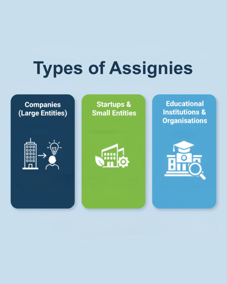 Types of Assignees for patent applications
