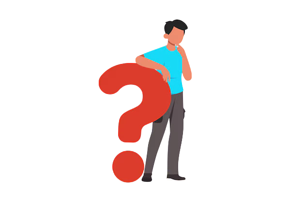 What are Patent Examination & Objection Reply Services?