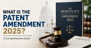 Read more about the article WHAT IS THE PATENT AMENDMENT 2025? A Comprehensive Guide