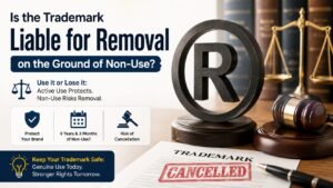 Read more about the article Is the Trademark Liable for Removal on the Ground of Non-Use?